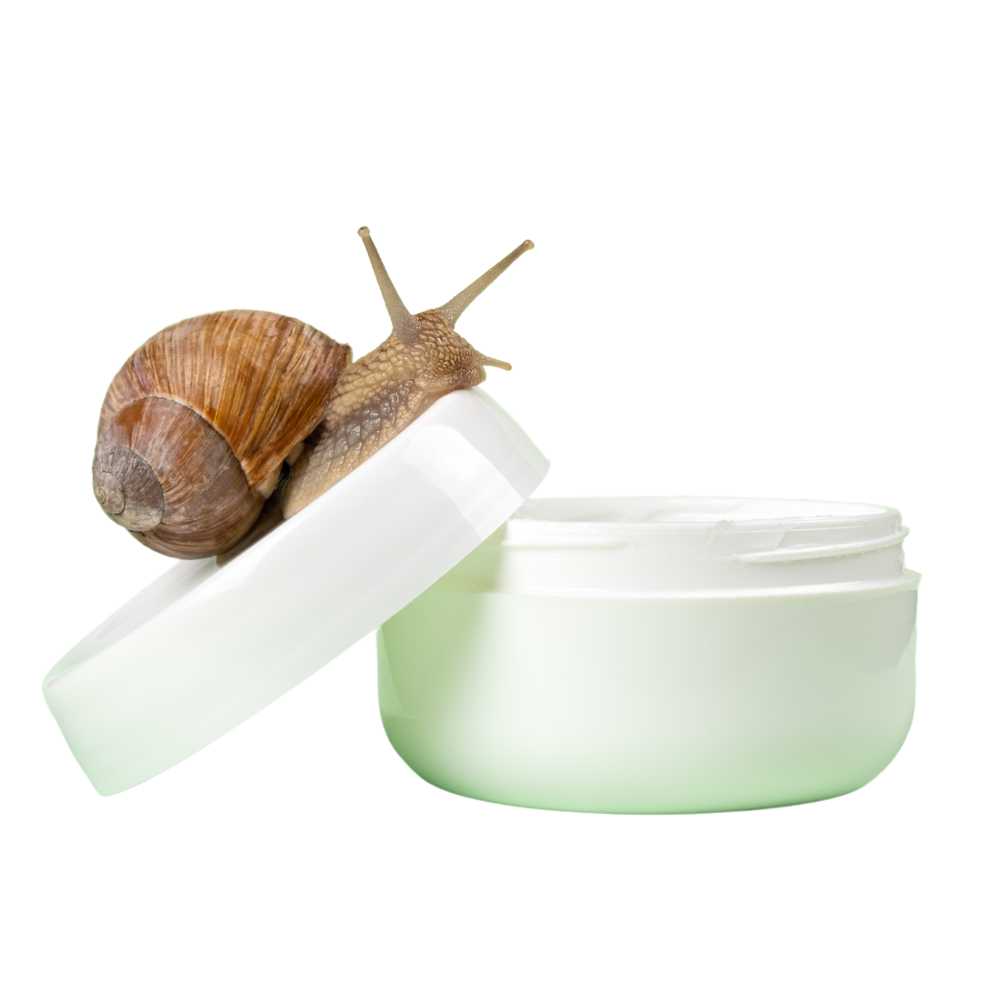 Snail based